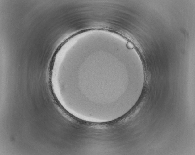 X0000115421037200912151559