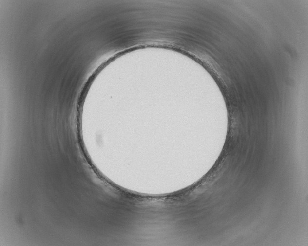 X0000115421038200912151559