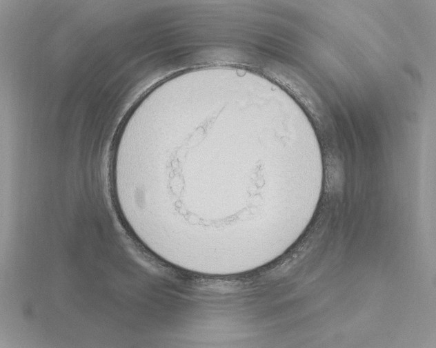 X0000115421039200912151559