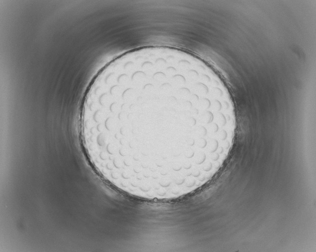 X0000115421040200912151559