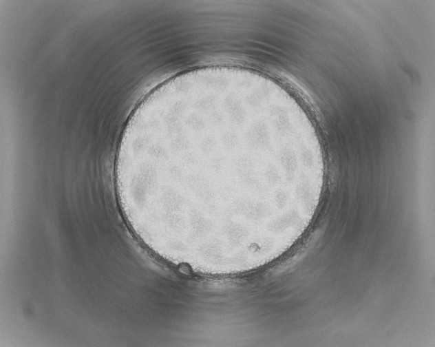 X0000115421041200912151559