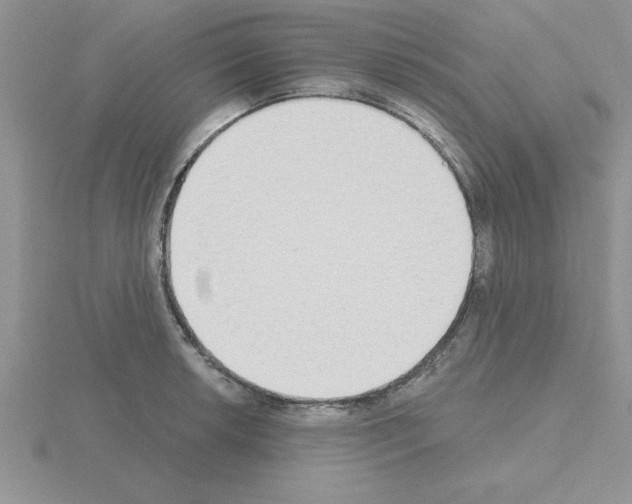 X0000115421042200912151559