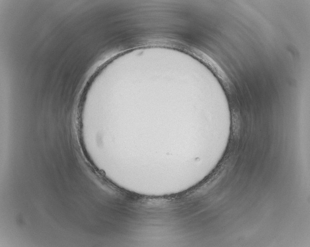 X0000115421043200912151559