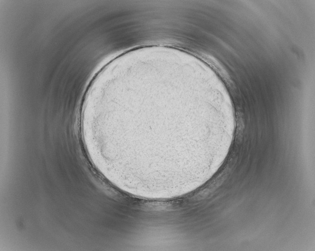 X0000115421044200912151559