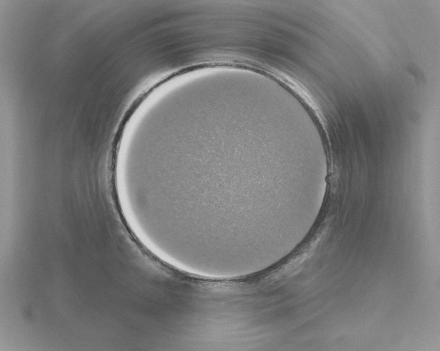 X0000115421045200912151559