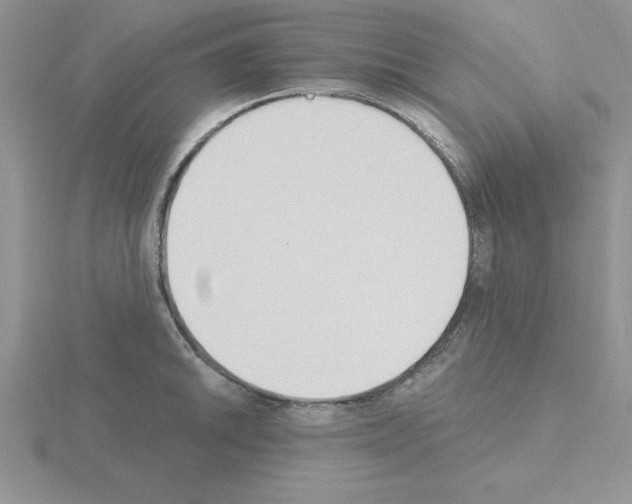 X0000115421046200912151559