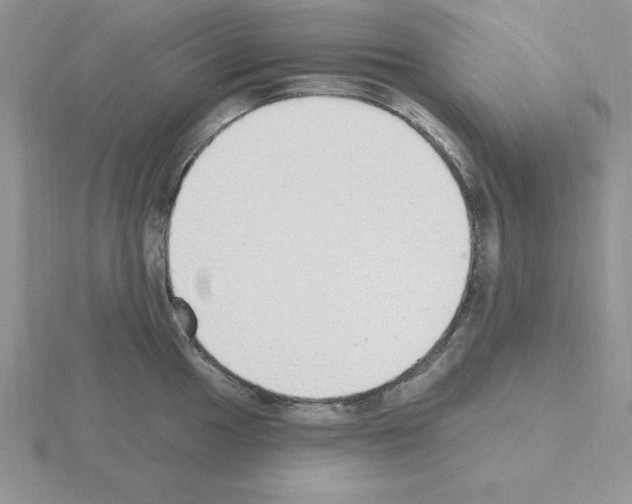 X0000115421049200912151559