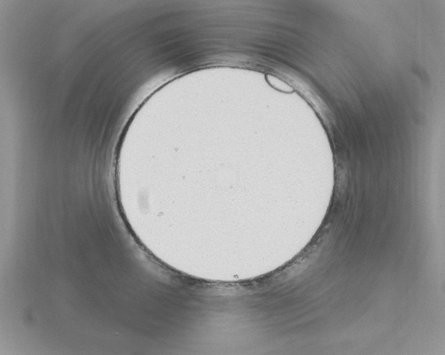 X0000115421050200912151559