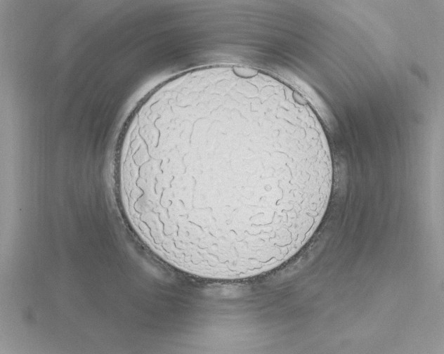 X0000115421051200912151559