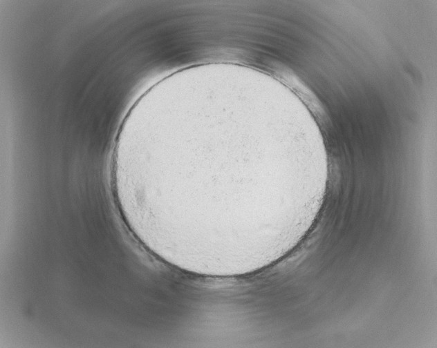 X0000115421052200912151559