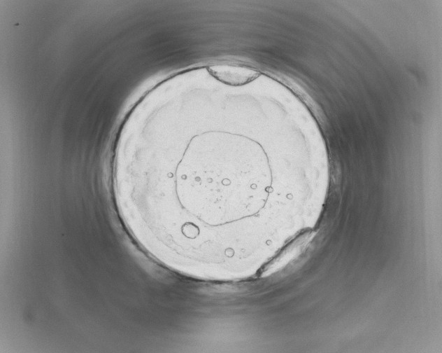 X0000115421054200912151559