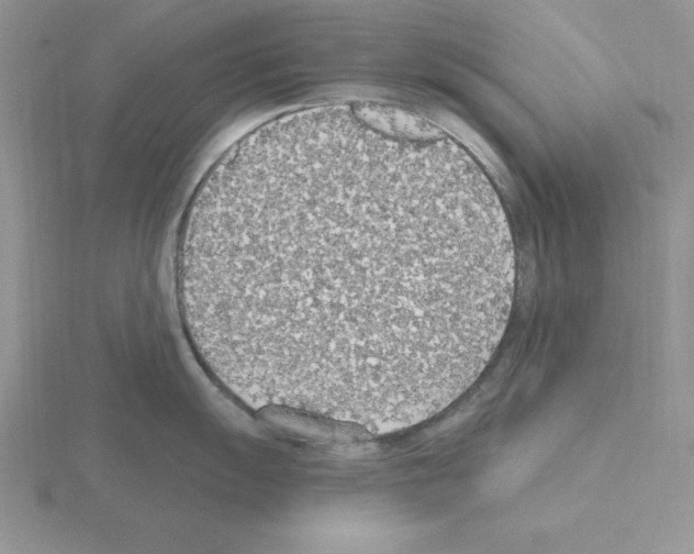 X0000115421055200912151559