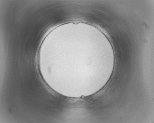 X0000115421056200912151559