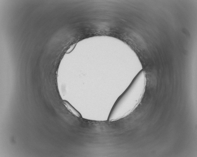 X0000115421057200912151558