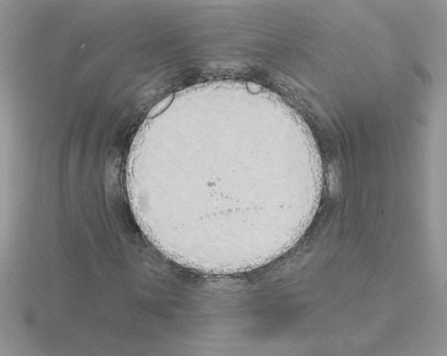 X0000115421059200912151558