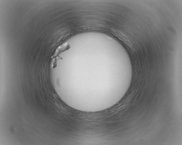 X0000115421060200912151558