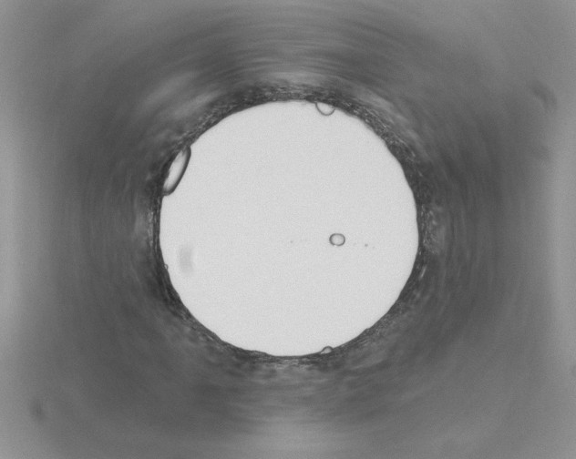 X0000115421061200912151558