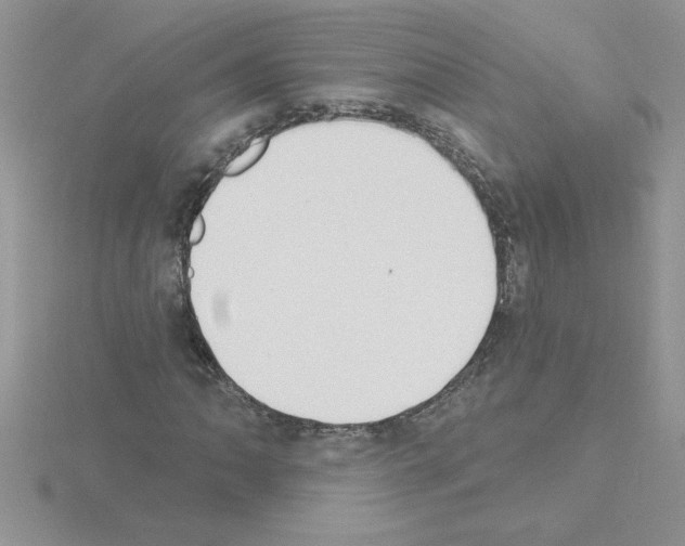 X0000115421062200912151558