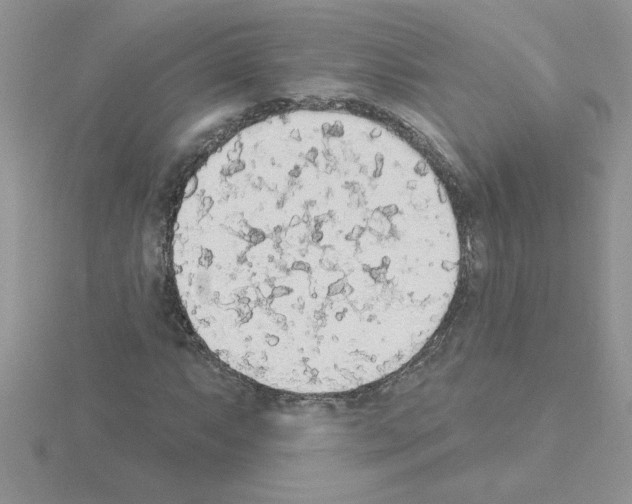 X0000115421063200912151558