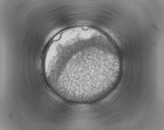 X0000115421066200912151558