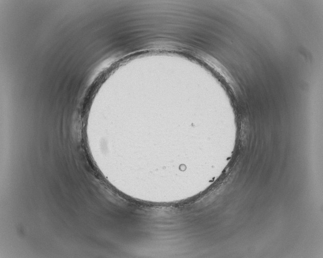 X0000115421067200912151558