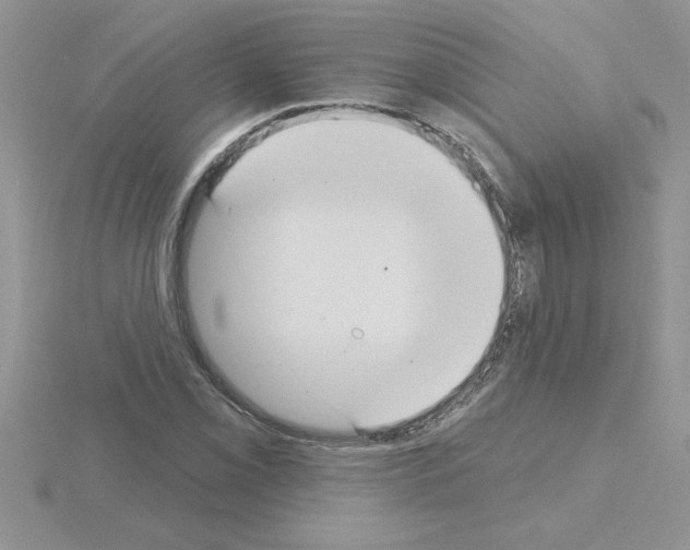 X0000115421069200912151558