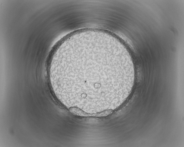 X0000115421070200912151558