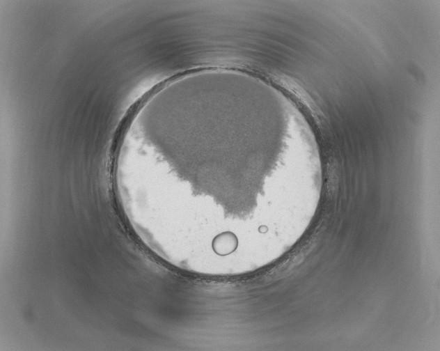 X0000115421071200912151558