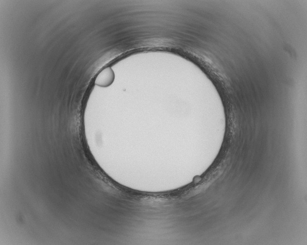 X0000115421073200912151558