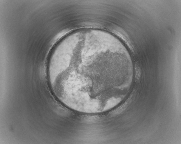 X0000115421074200912151558