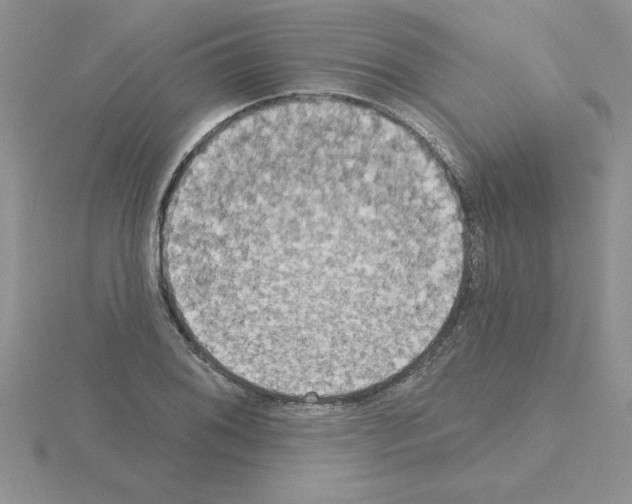 X0000115421076200912151558