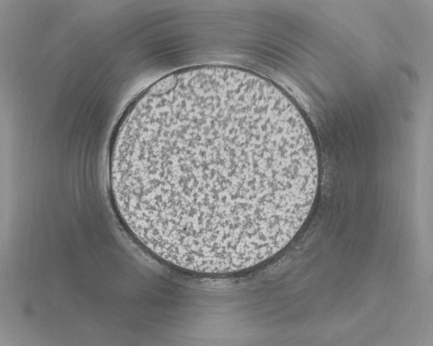 X0000115421080200912151558