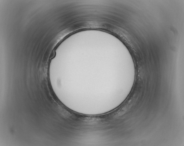 X0000115421081200912151558