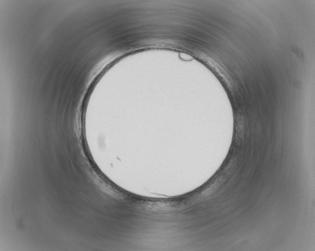 X0000115421082200912151558