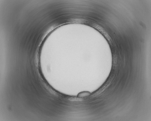 X0000115421083200912151558