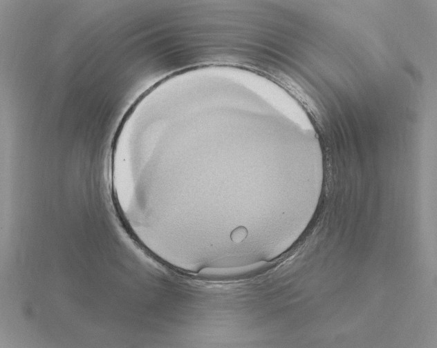 X0000115421084200912151558