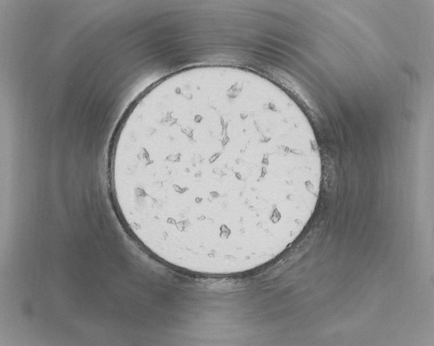 X0000115421087200912151558