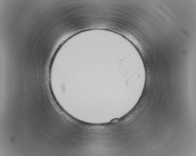 X0000115421088200912151558