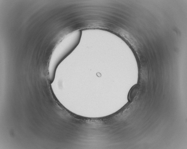 X0000115421089200912151558