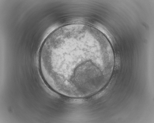 X0000115421090200912151558