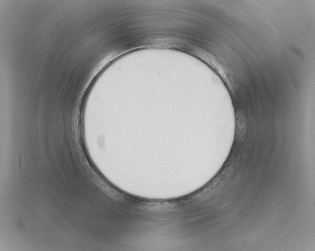 X0000115421091200912151558