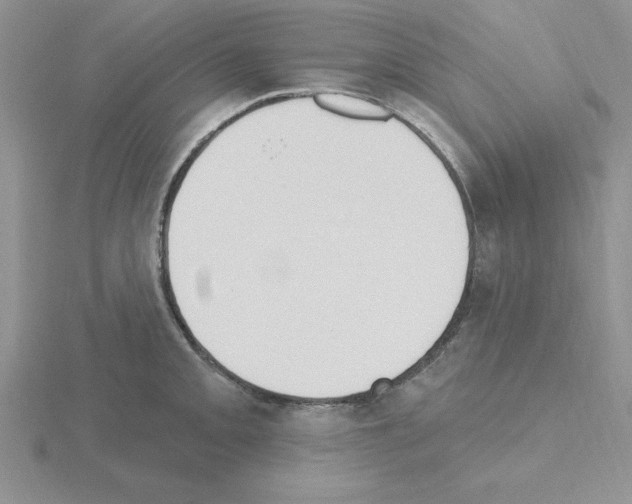 X0000115421093200912151558