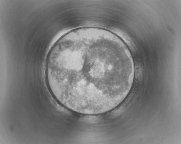 X0000115421094200912151558