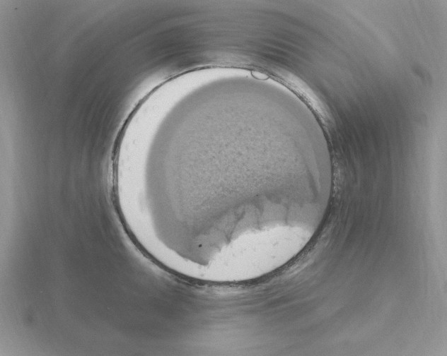 X0000115421095200912151558