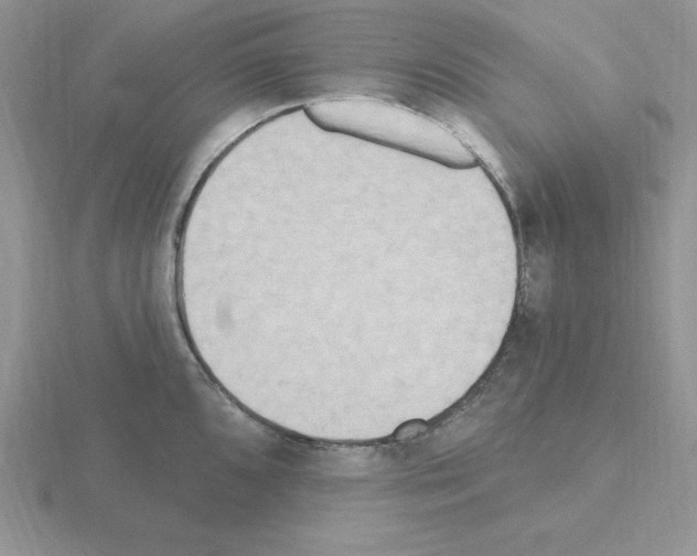 X0000115421096200912151558