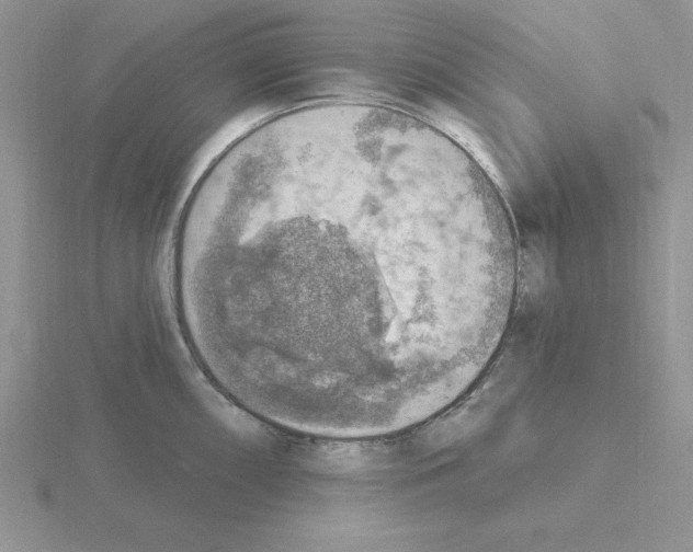 X0000115421098200912151558