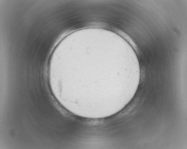 X0000115421099200912151558