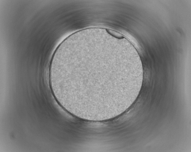 X0000115421100200912151558