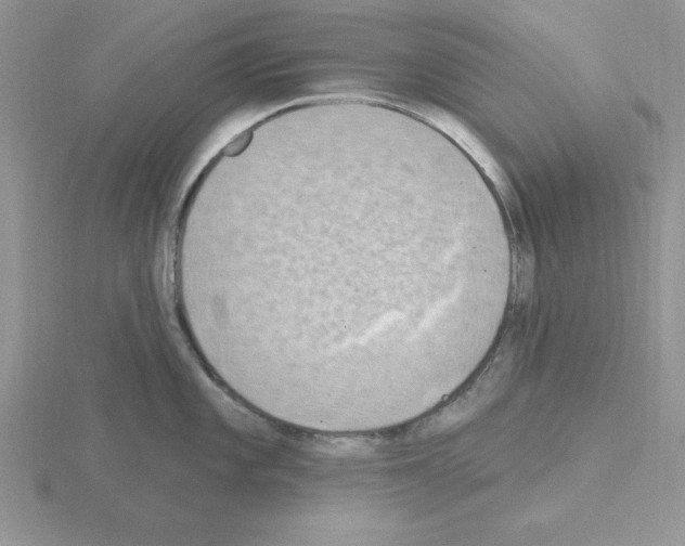 X0000115421101200912151558