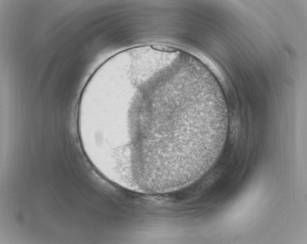 X0000115421102200912151558